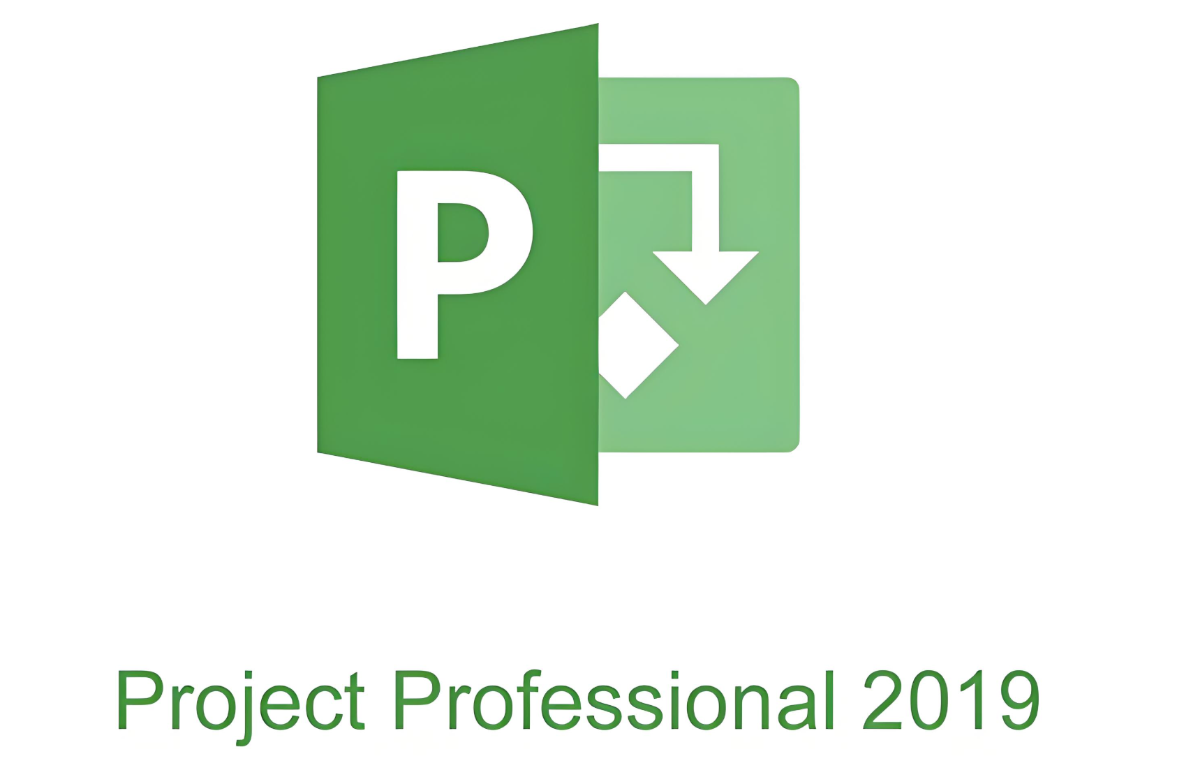 Project 2019 软件下载安装教程