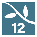 Lumion 12 软件下载安装教程